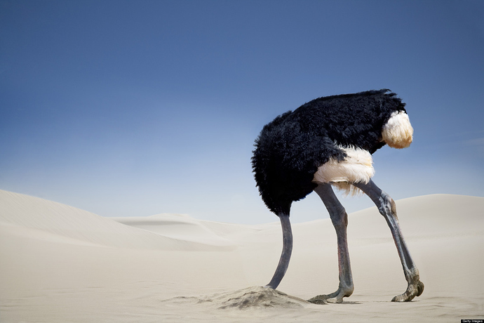 ostrich-head-in-sand