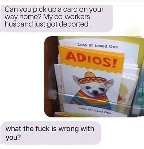 Screenshot_20191013-204651_WhatsApp