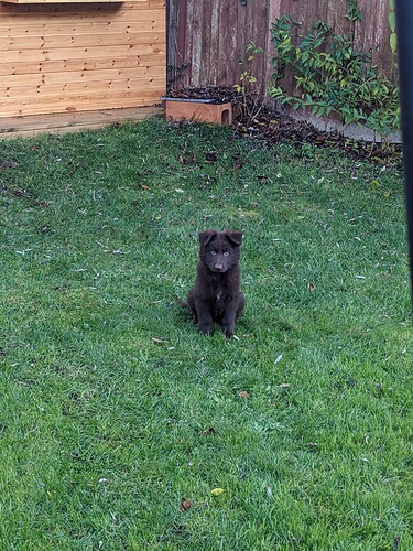 PXL_20201205_142359512