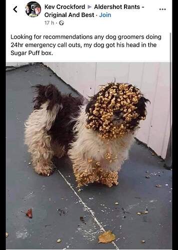 124099161_1857441657728669_4139051920846298168_o