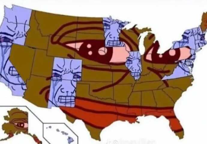 1000062207