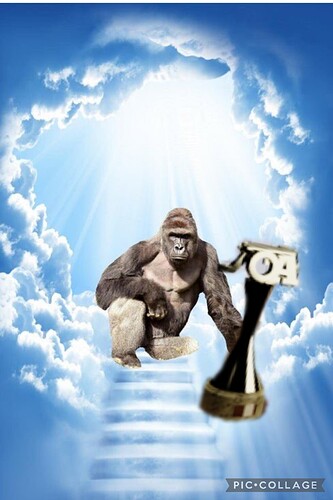 Collage 2021-12-30 16_03_45