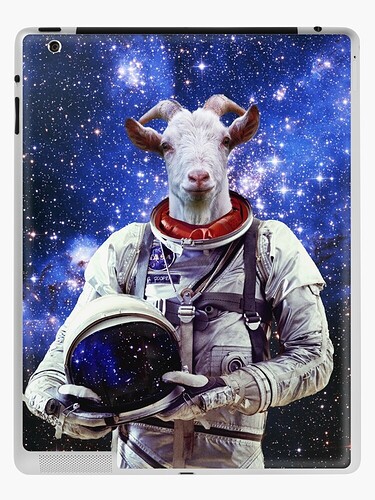 mwo,x1000,ipad_2_skin-pad,750x1000,f8f8f8.u3