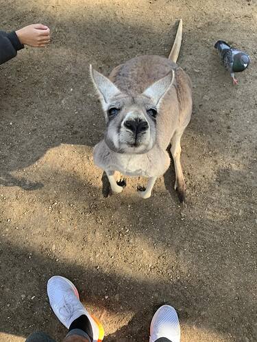 received_270889515604520