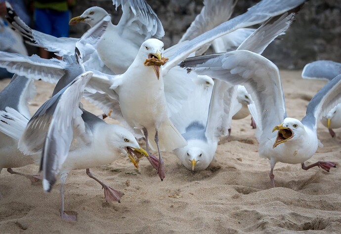 gettyimages-482254490-scaled