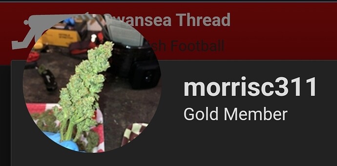1000055203