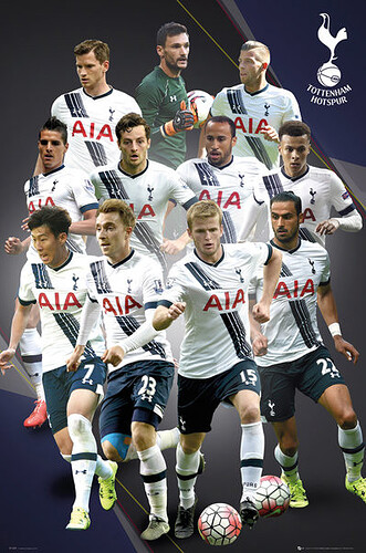 tottenham-hotspur-fc-players-15-16-i28718