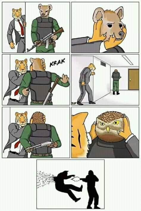 70653145_10219140634963082_1021037039065235456_n