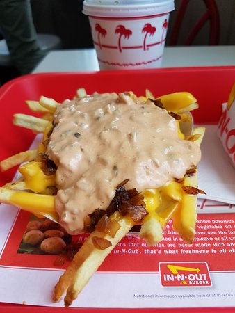 animal-style-fries