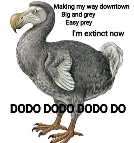 162977146_10159072495767645_294565135671547239_n