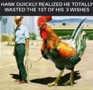 FB_IMG_1667337303150