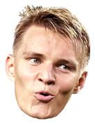 Godegaard_icon