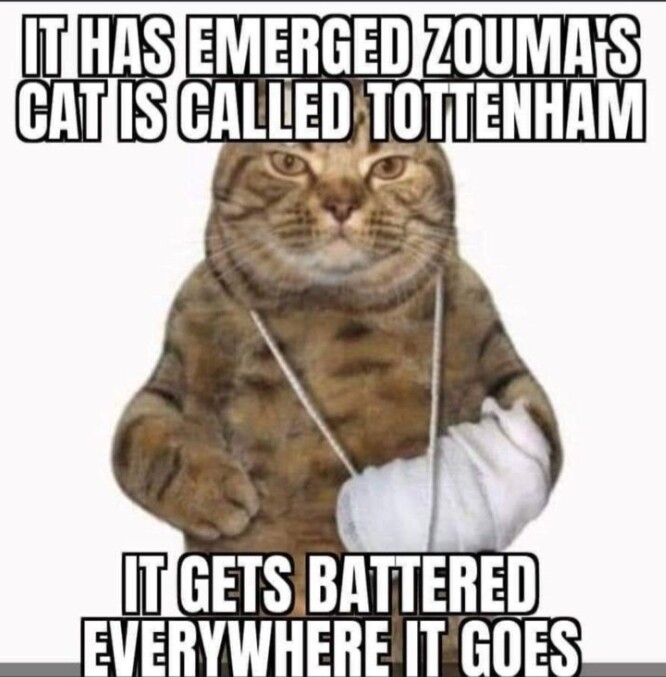 kurt zouma cat meme